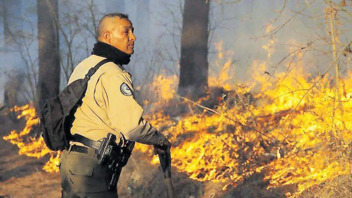 Incendio forestal